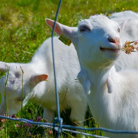 3-story Perfect For Up To 10 Guests